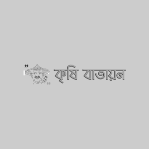 ব্রি ধান ৮৭