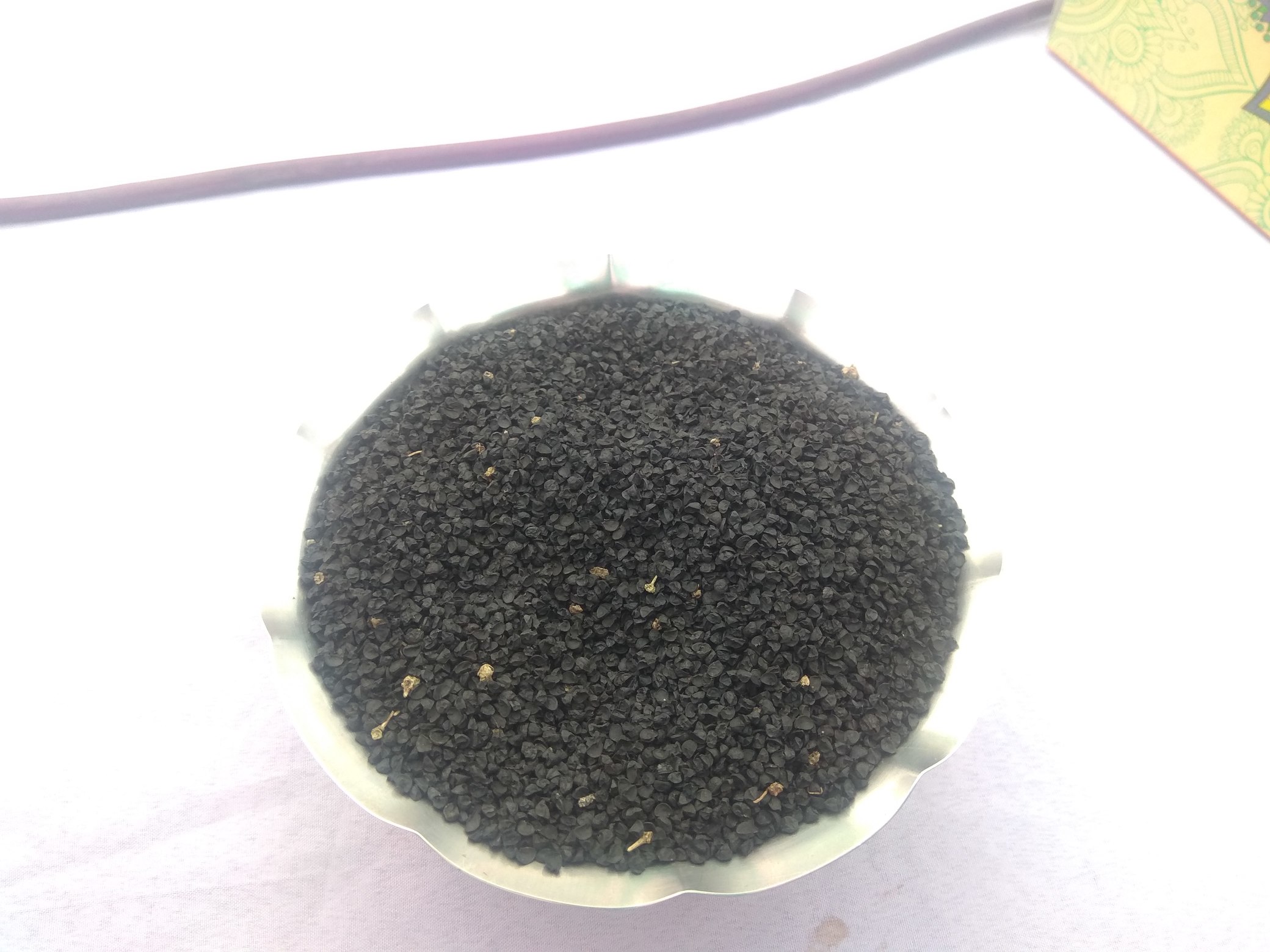 পেয়াঁজ (বারি পেয়াঁজ ১, তাহেরপুরী) মাঠ ‍দিবস